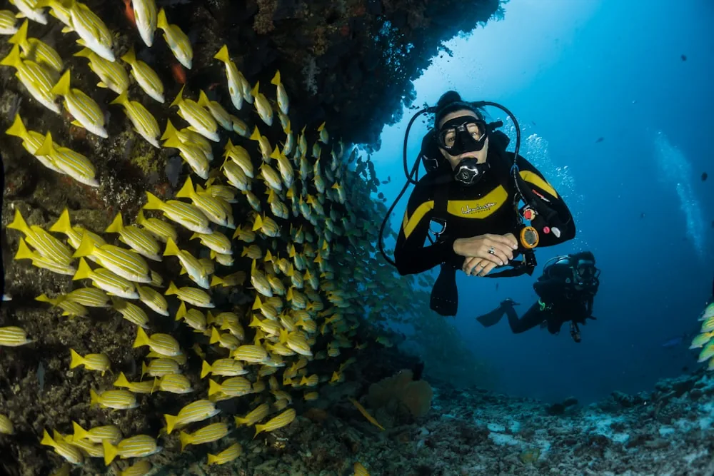 Goa Explorer