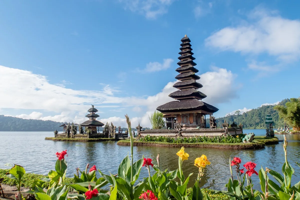 Ubud rice terraces Bali temple tour package