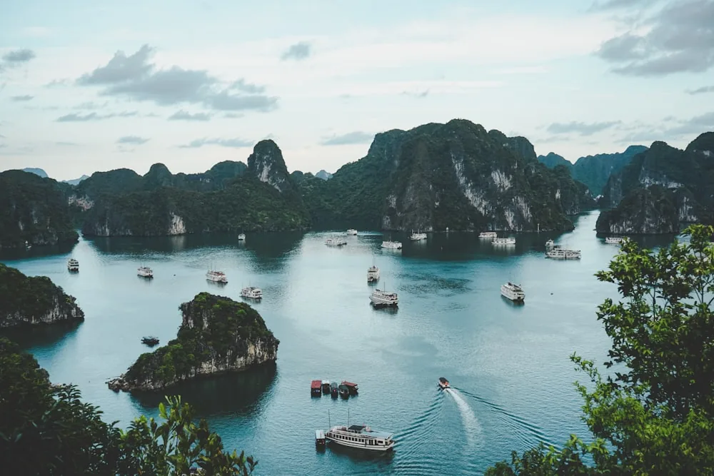 Mekong Delta Speedboat & Row Boat Cruise